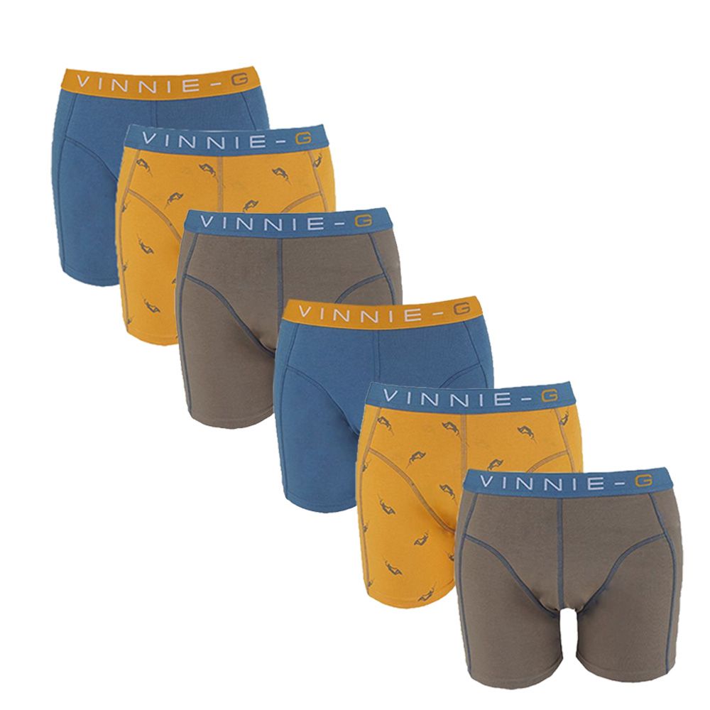 Vinnie-G Boys Kinder boxershorts Wakeboard 6-pack