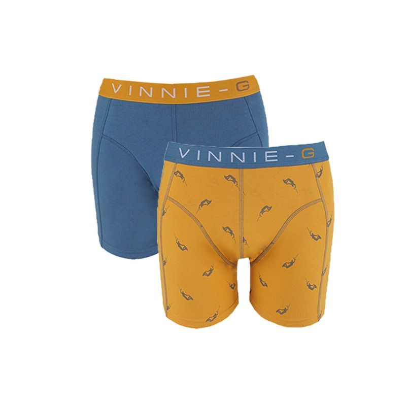 Vinnie-G Boys boxershorts Wakeboard Blue - Print 2-Pack